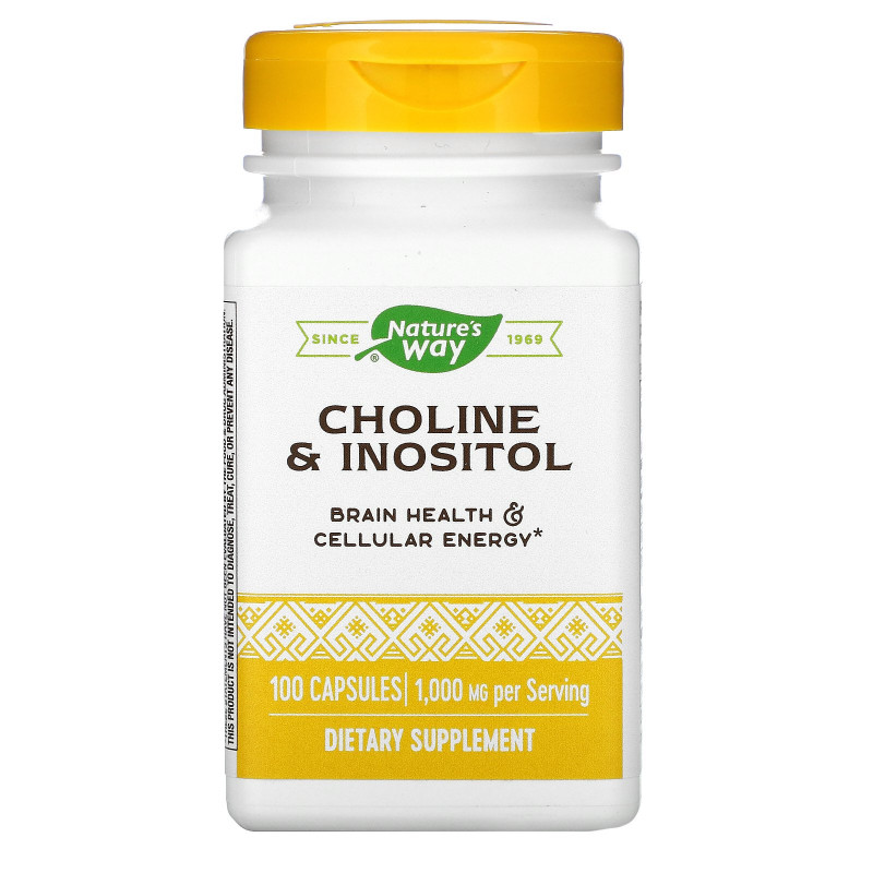 Nature's Way, Choline & Inositol, 500 mg, 100 Capsules