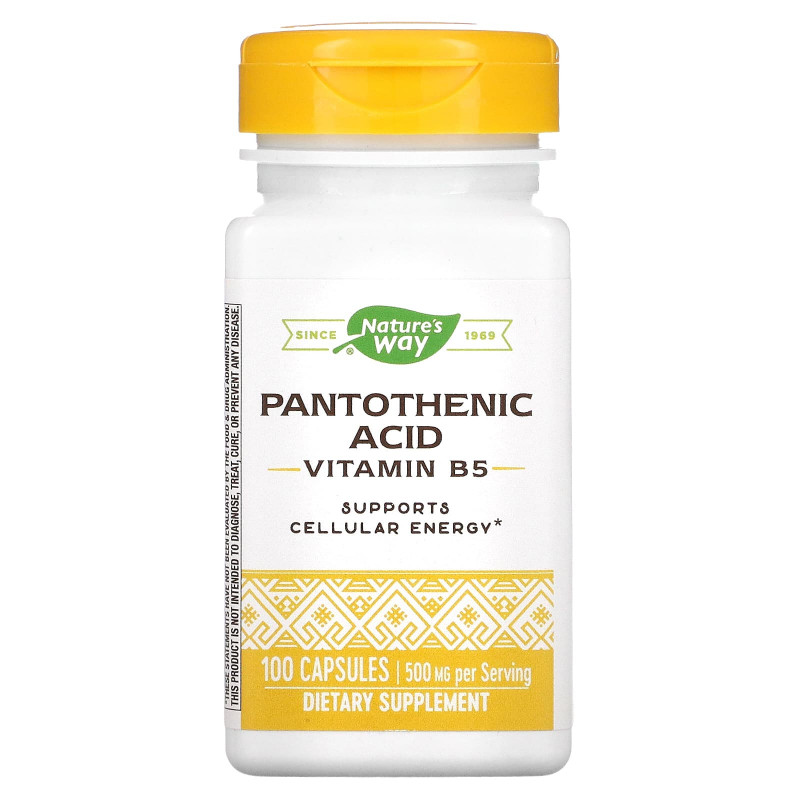 Nature's Way, Pantothenic Acid, 250 mg, 100 Capsules